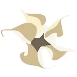Yomandamor logo (light version)